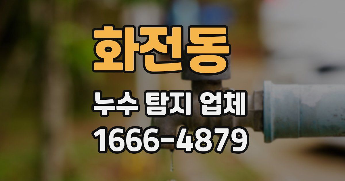 화전동 누수 탐지 업체