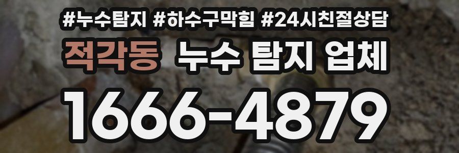 적각동 누수 탐지 업체