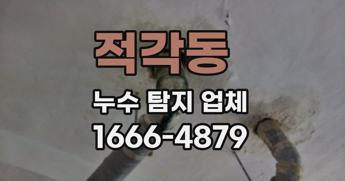 적각동 누수 탐지 업체