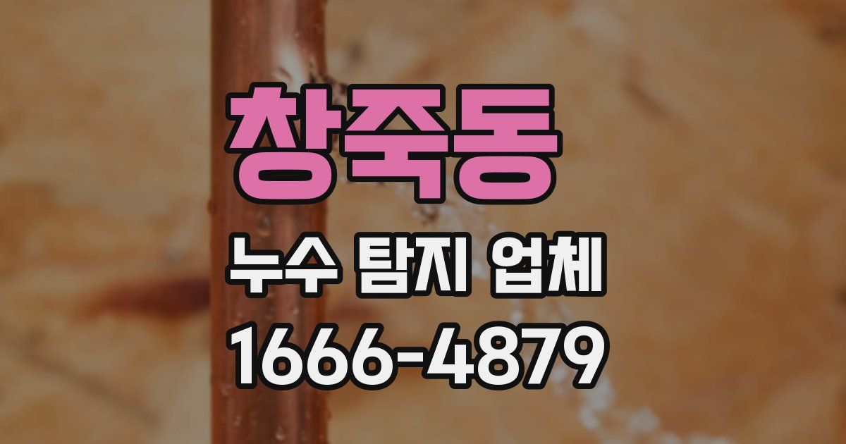 창죽동 누수 탐지 업체