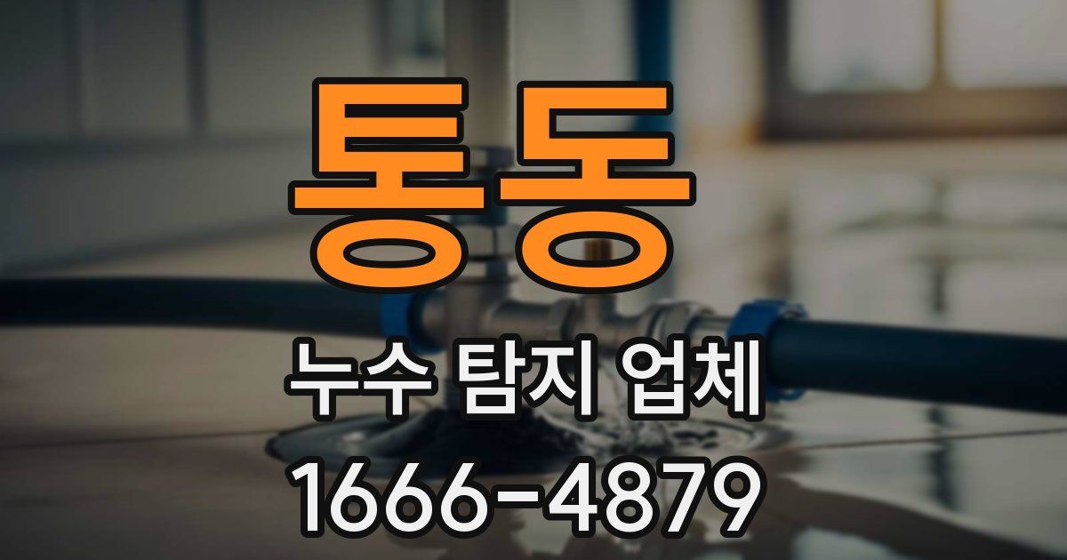 통동 누수 탐지 업체