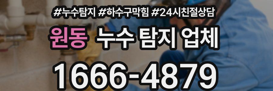 원동 누수 탐지 업체