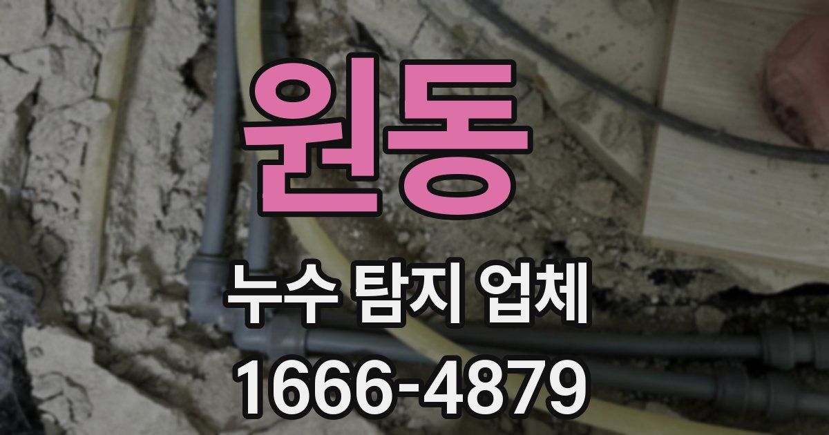 원동 누수 탐지 업체