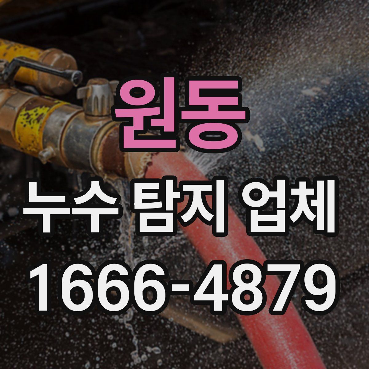 원동 누수 탐지 업체
