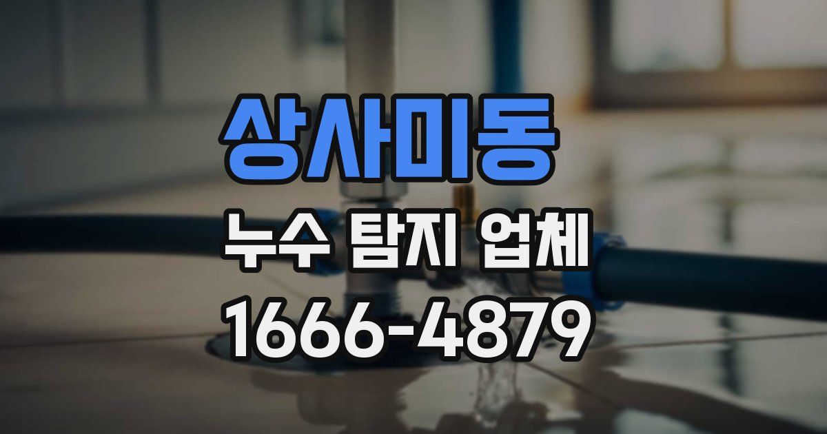 상사미동 누수 탐지 업체