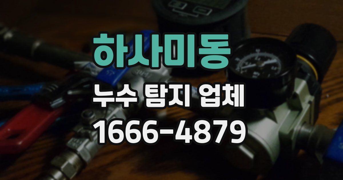 하사미동 누수 탐지 업체