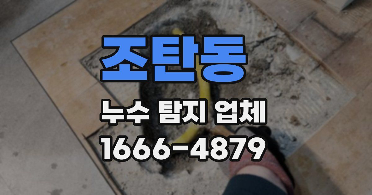 조탄동 누수 탐지 업체