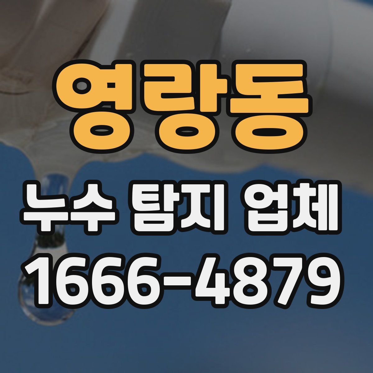 영랑동 누수 탐지 업체