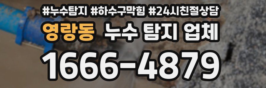 영랑동 누수 탐지 업체