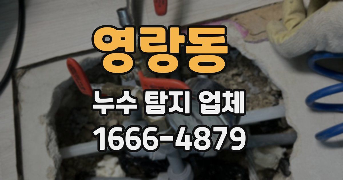영랑동 누수 탐지 업체
