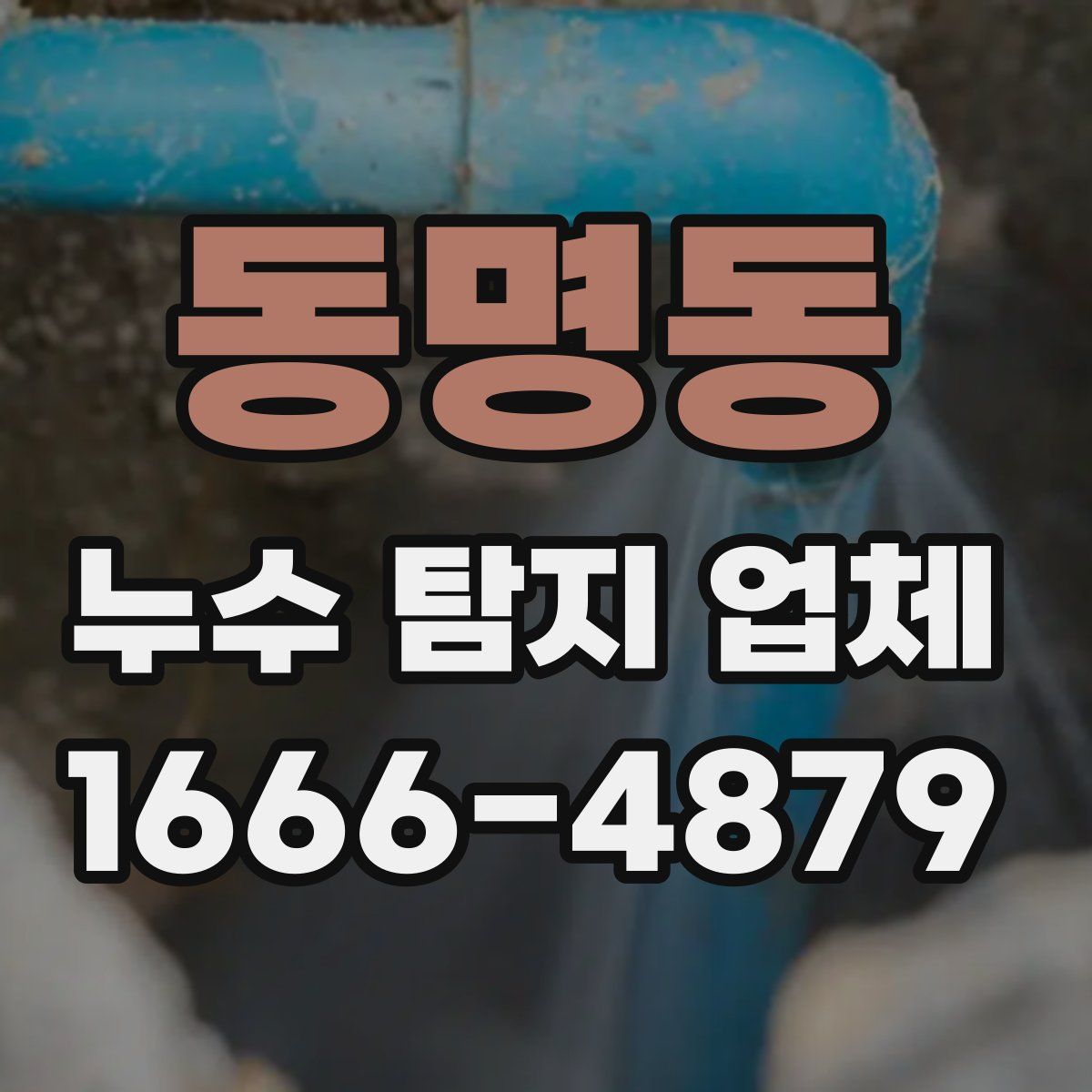 동명동 누수 탐지 업체