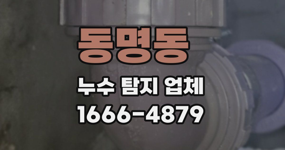 동명동 누수 탐지 업체