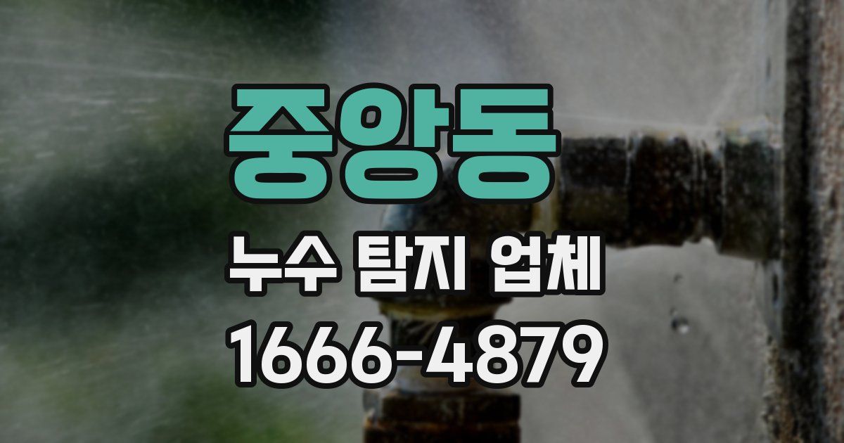 중앙동 누수 탐지 업체