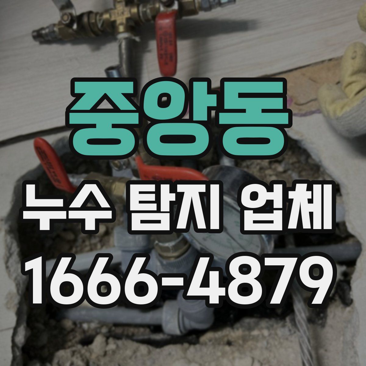 중앙동 누수 탐지 업체