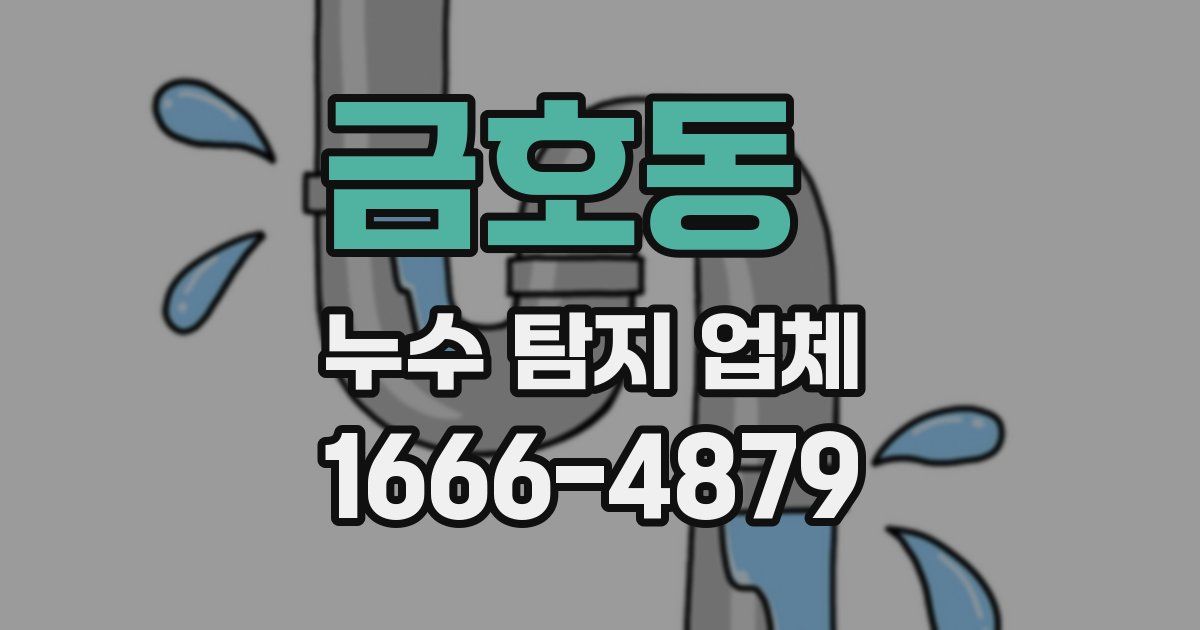 금호동 누수 탐지 업체