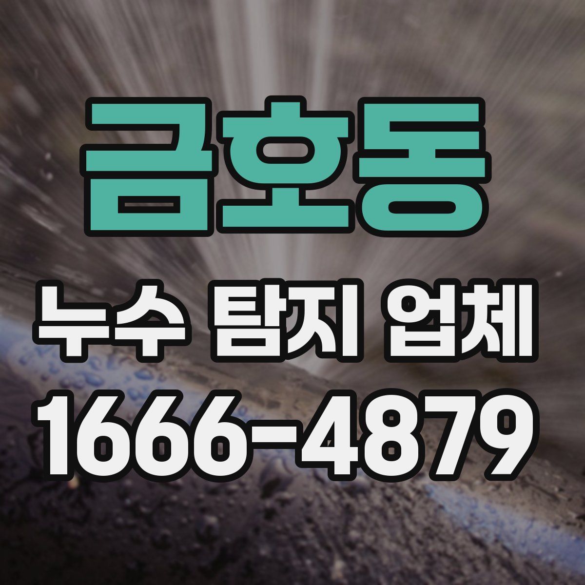 금호동 누수 탐지 업체