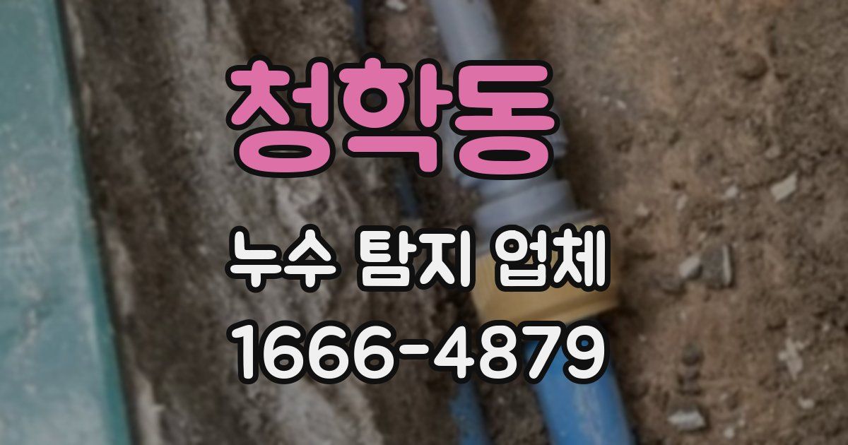청학동 누수 탐지 업체