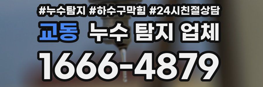 교동 누수 탐지 업체