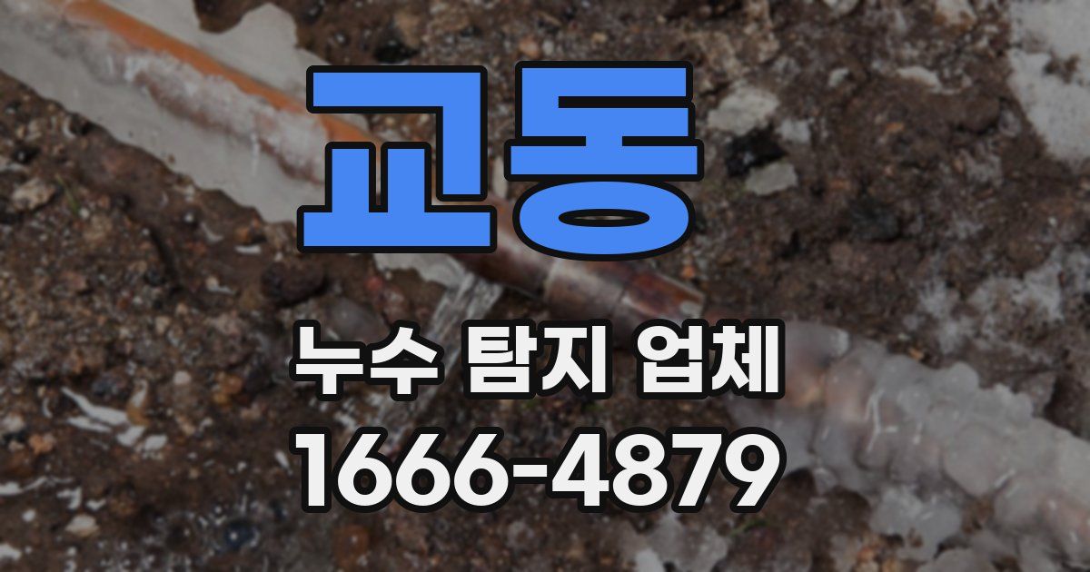 교동 누수 탐지 업체