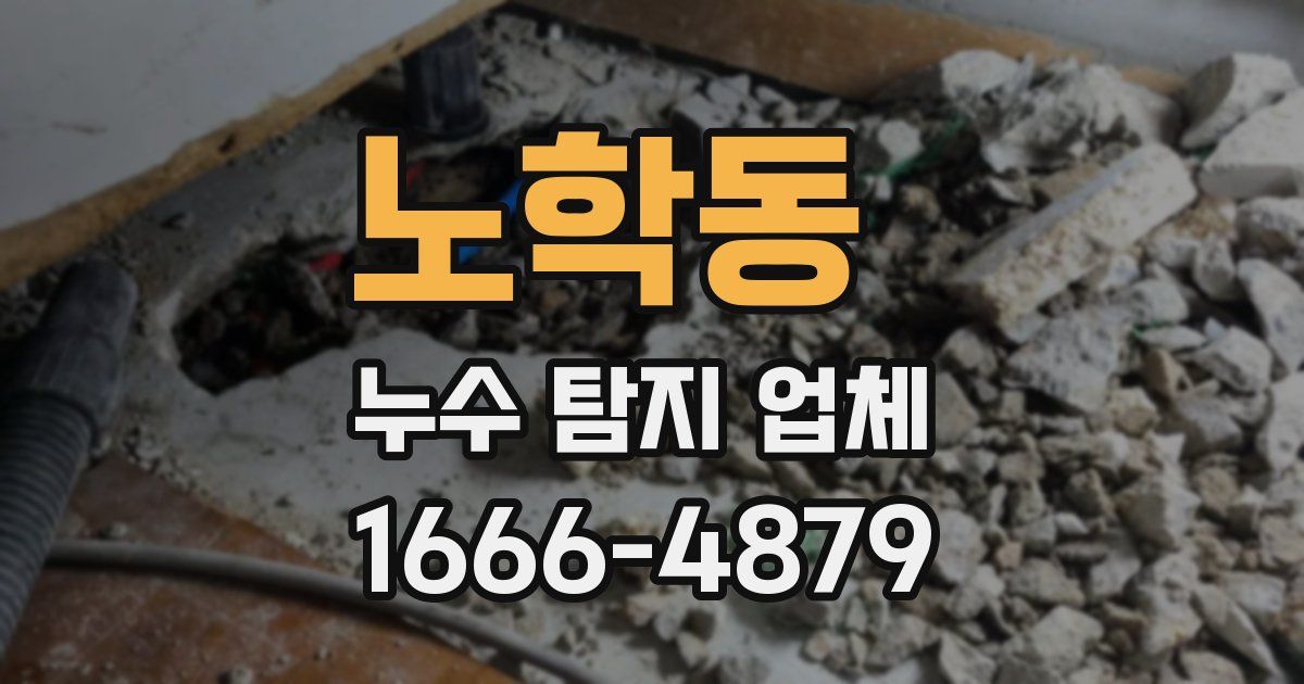노학동 누수 탐지 업체