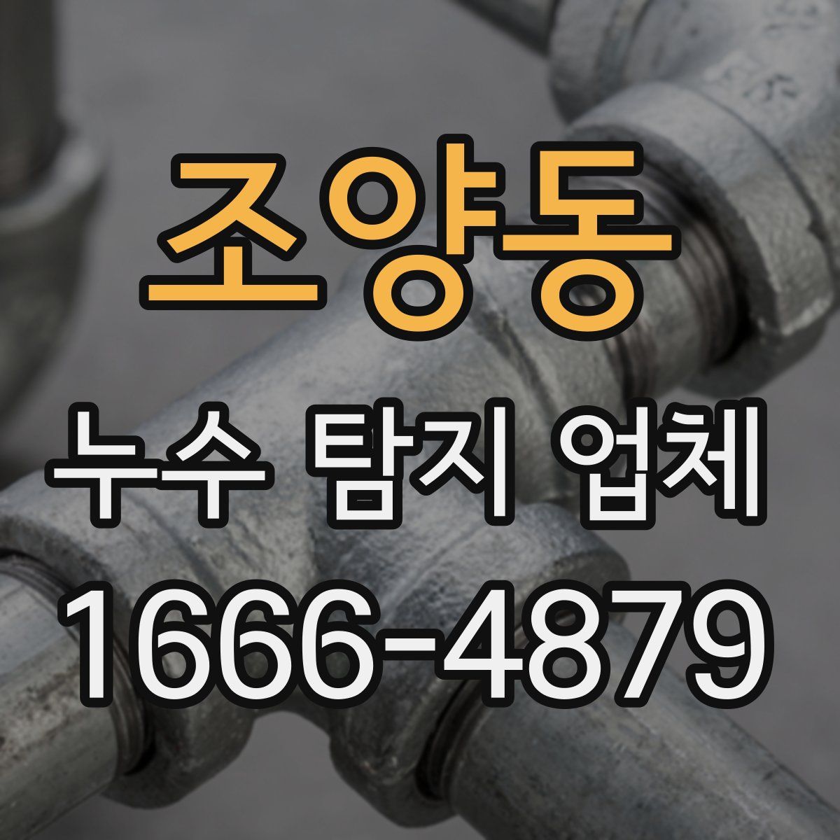 조양동 누수 탐지 업체