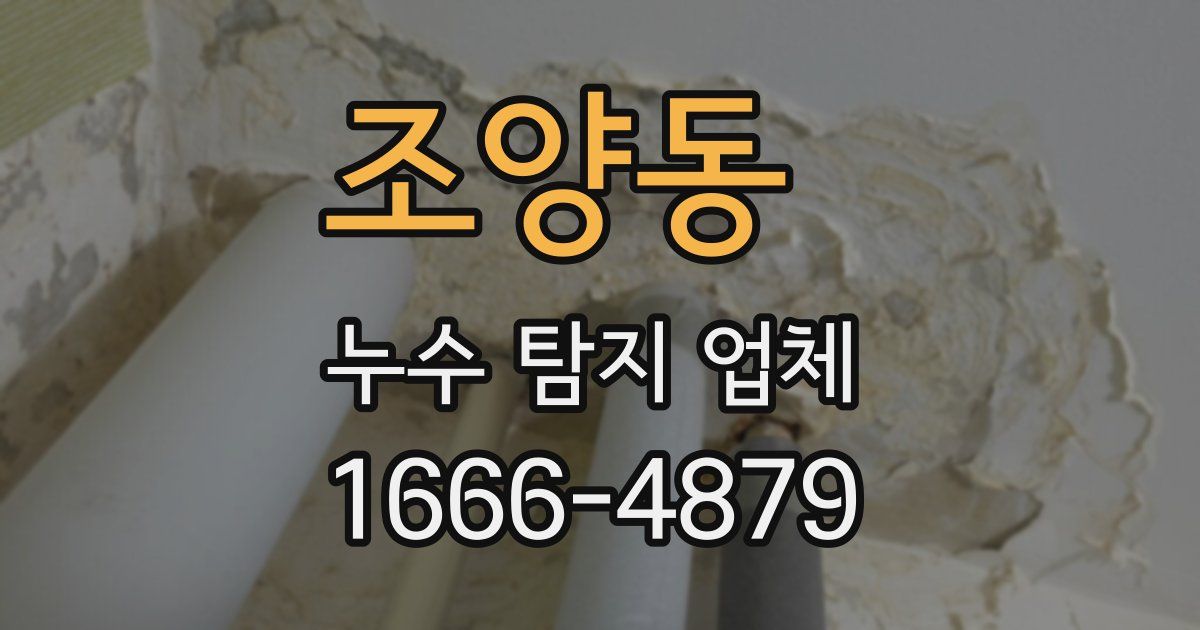조양동 누수 탐지 업체