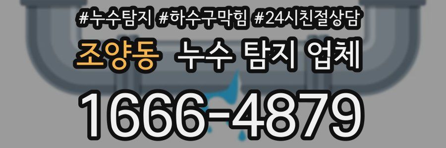 조양동 누수 탐지 업체