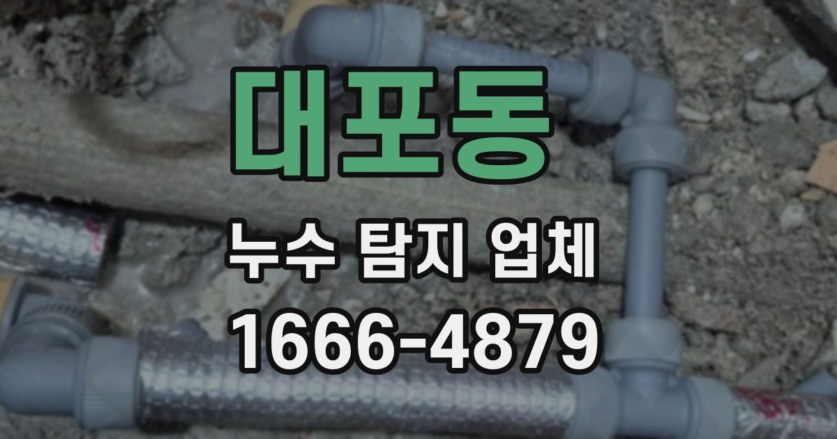 대포동 누수 탐지 업체