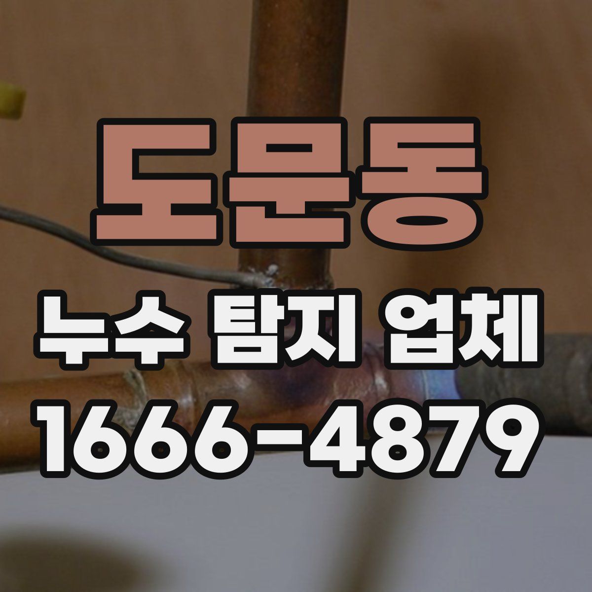 도문동 누수 탐지 업체