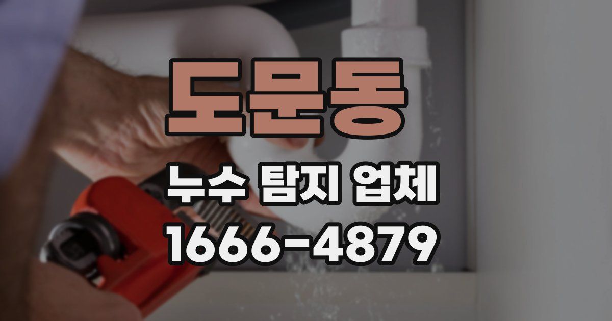 도문동 누수 탐지 업체