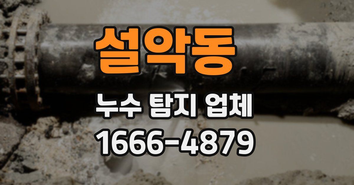 설악동 누수 탐지 업체