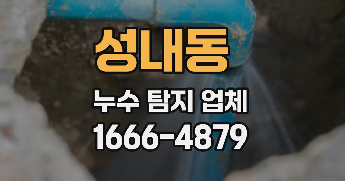 성내동 누수 탐지 업체