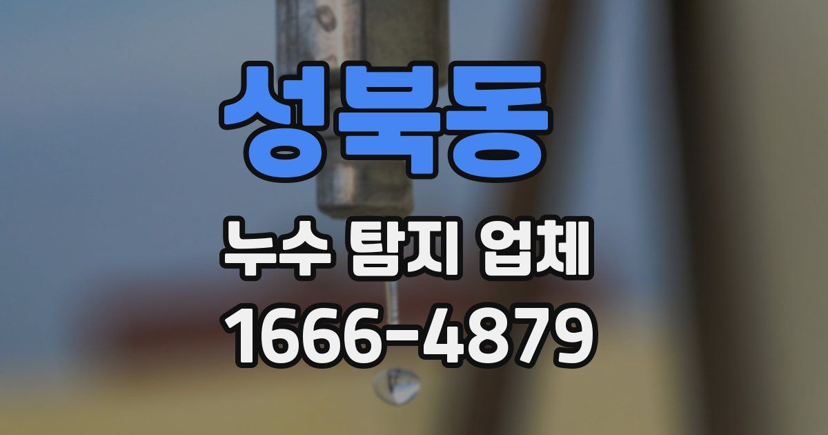성북동 누수 탐지 업체