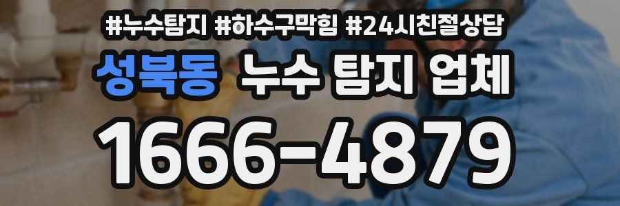 성북동 누수 탐지 업체
