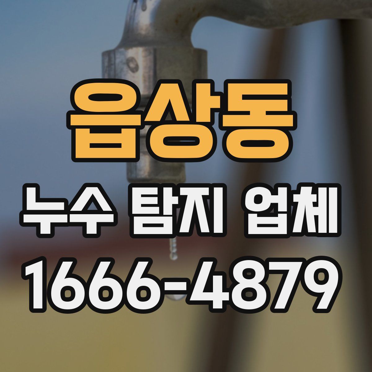 읍상동 누수 탐지 업체