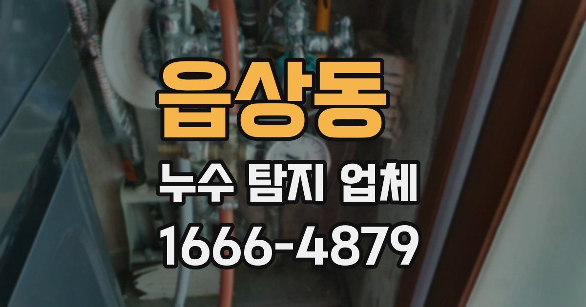 읍상동 누수 탐지 업체
