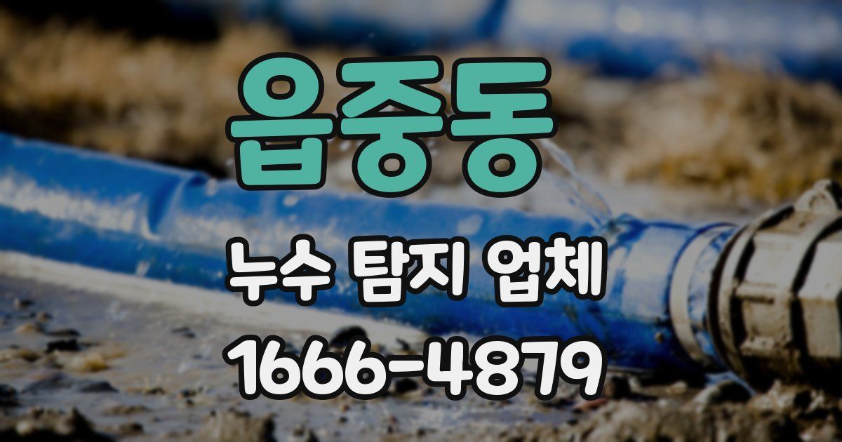 읍중동 누수 탐지 업체