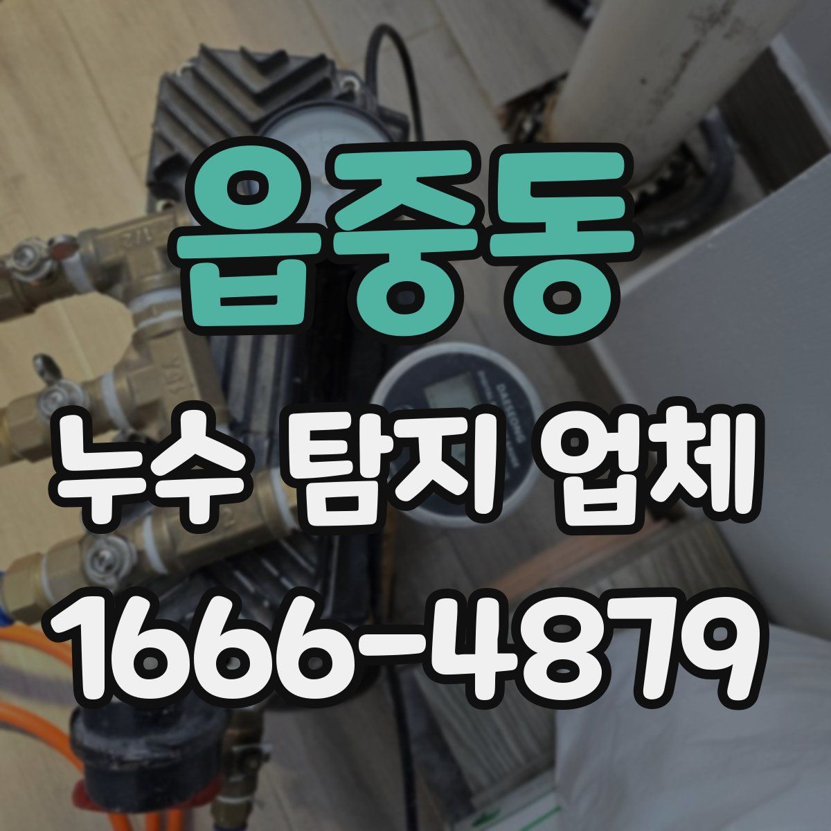 읍중동 누수 탐지 업체