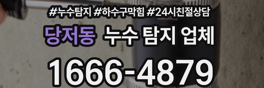 당저동 누수 탐지 업체