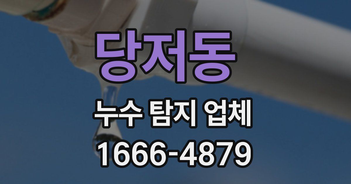 당저동 누수 탐지 업체