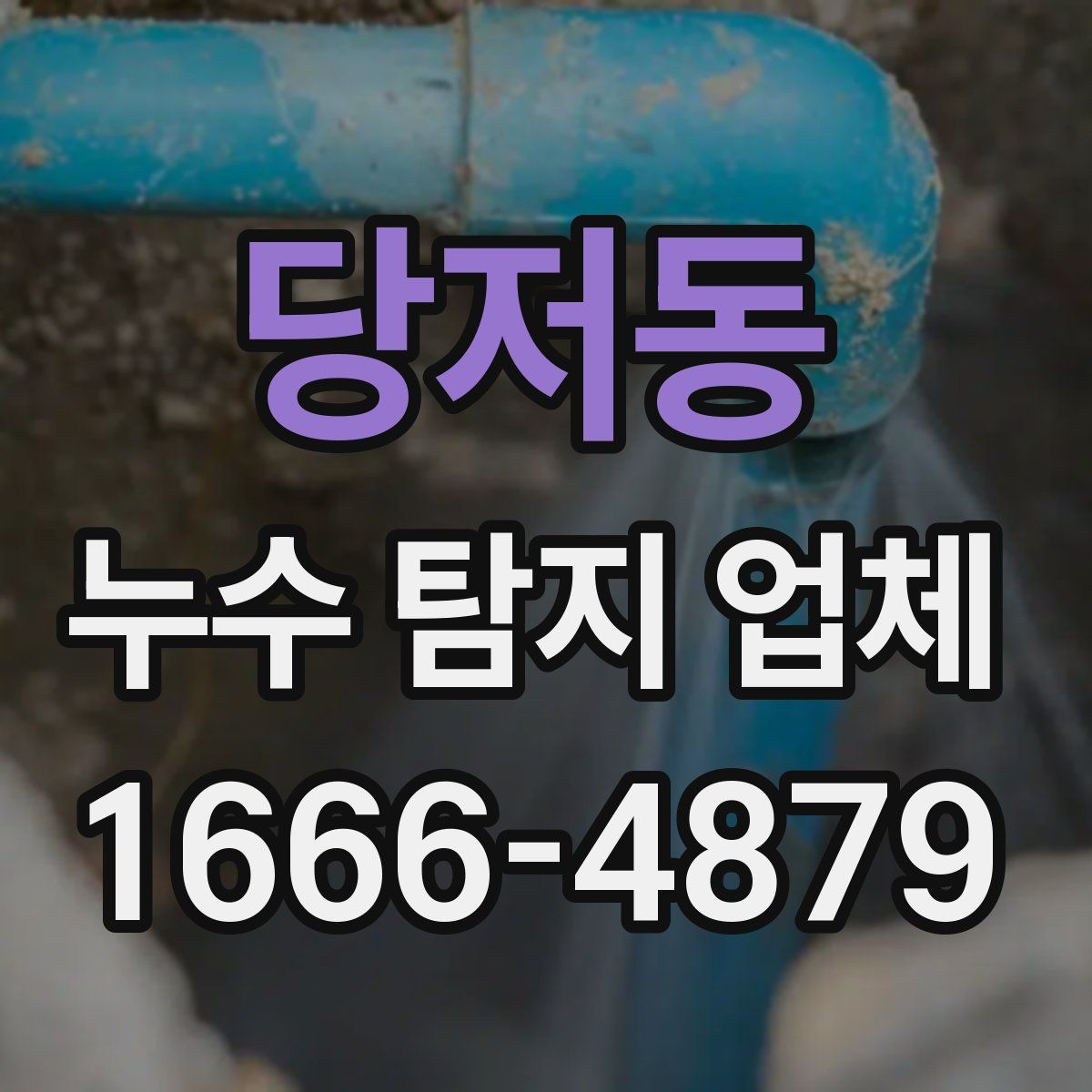 당저동 누수 탐지 업체
