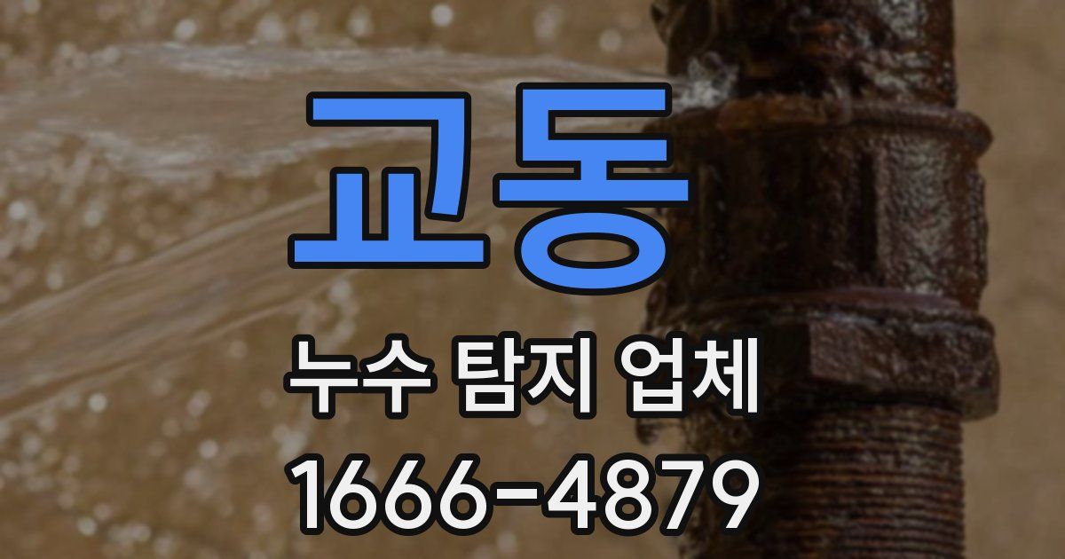 교동 누수 탐지 업체