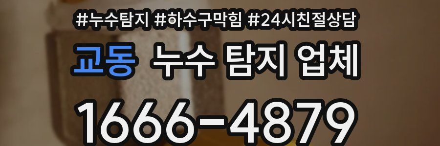 교동 누수 탐지 업체