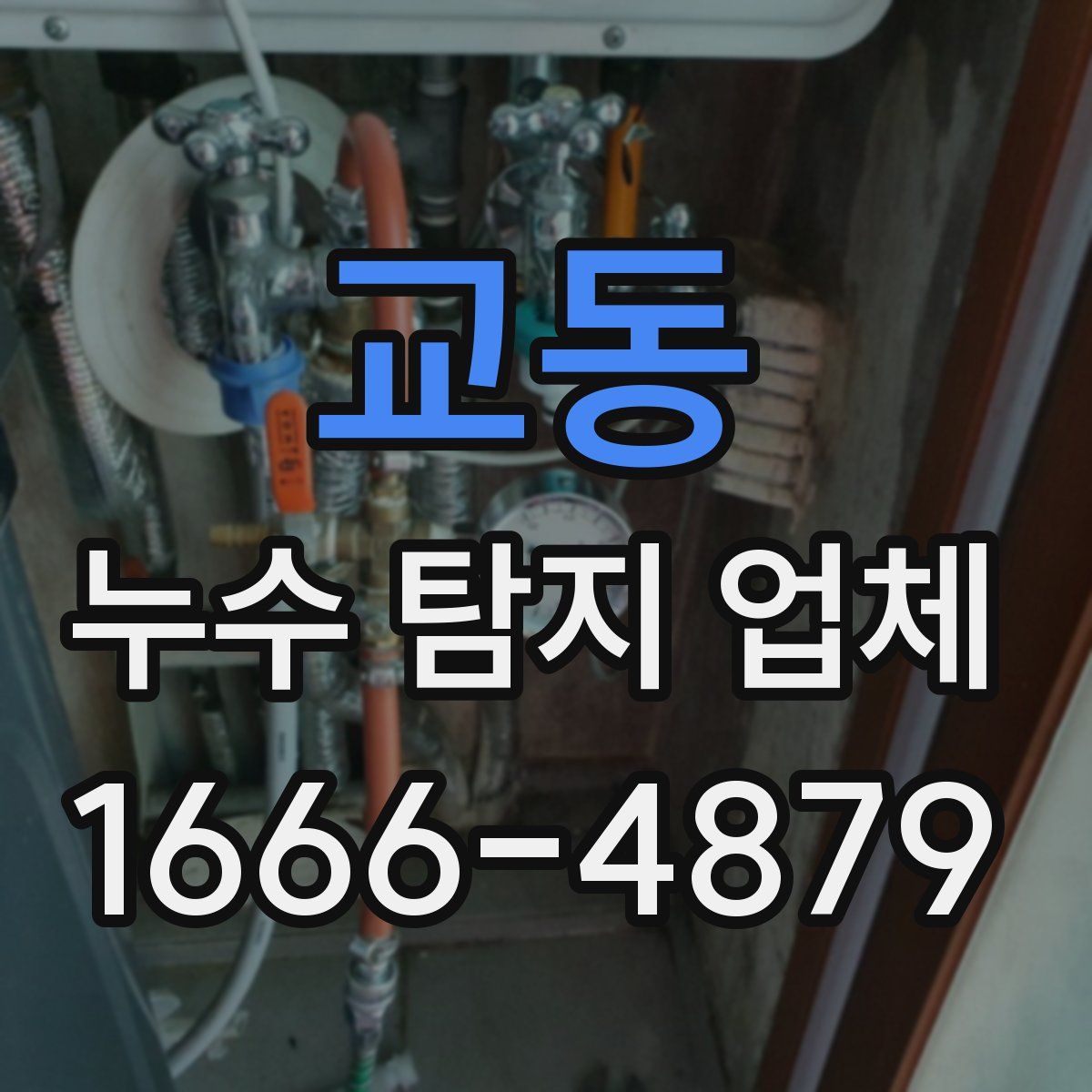 교동 누수 탐지 업체