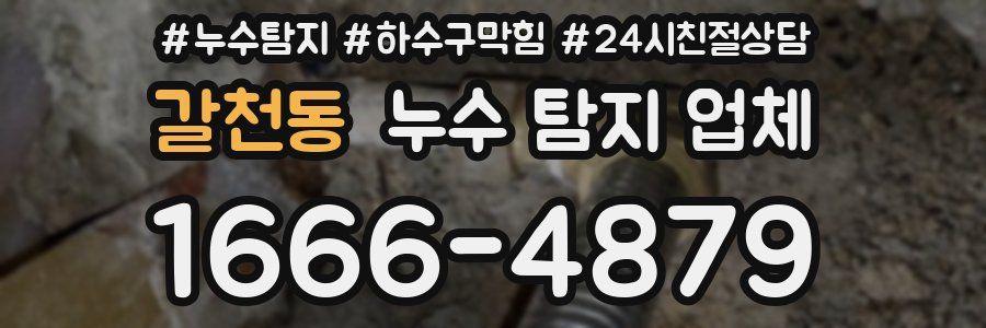 갈천동 누수 탐지 업체