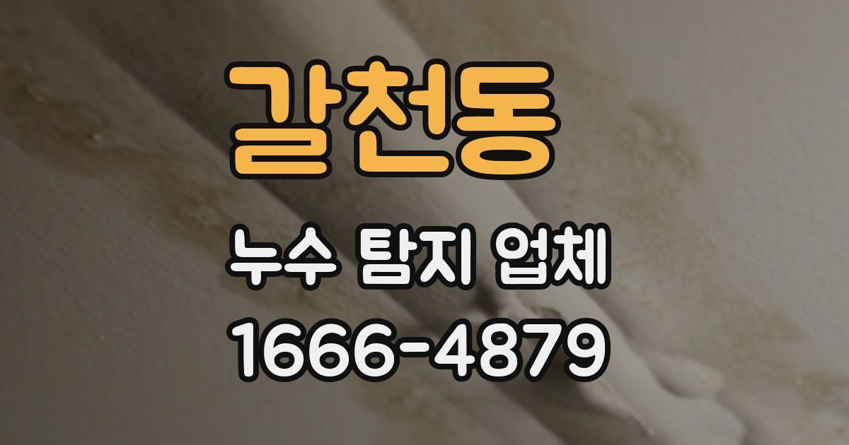 갈천동 누수 탐지 업체