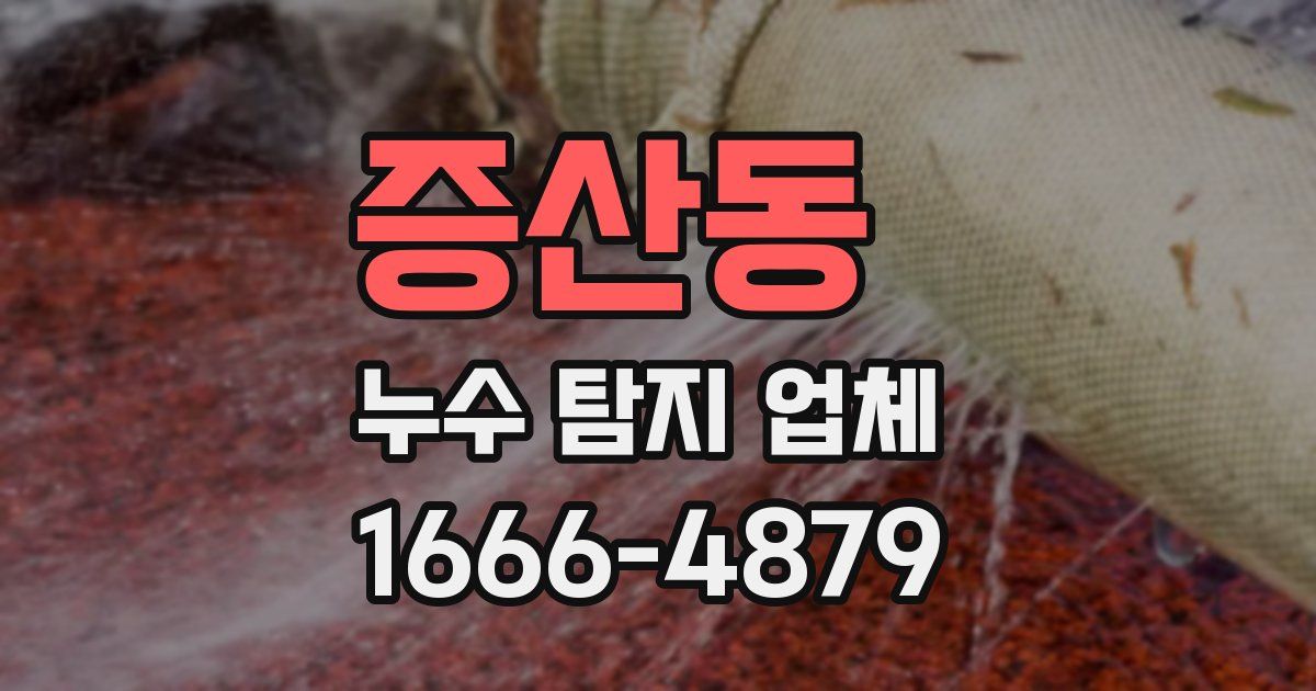 증산동 누수 탐지 업체