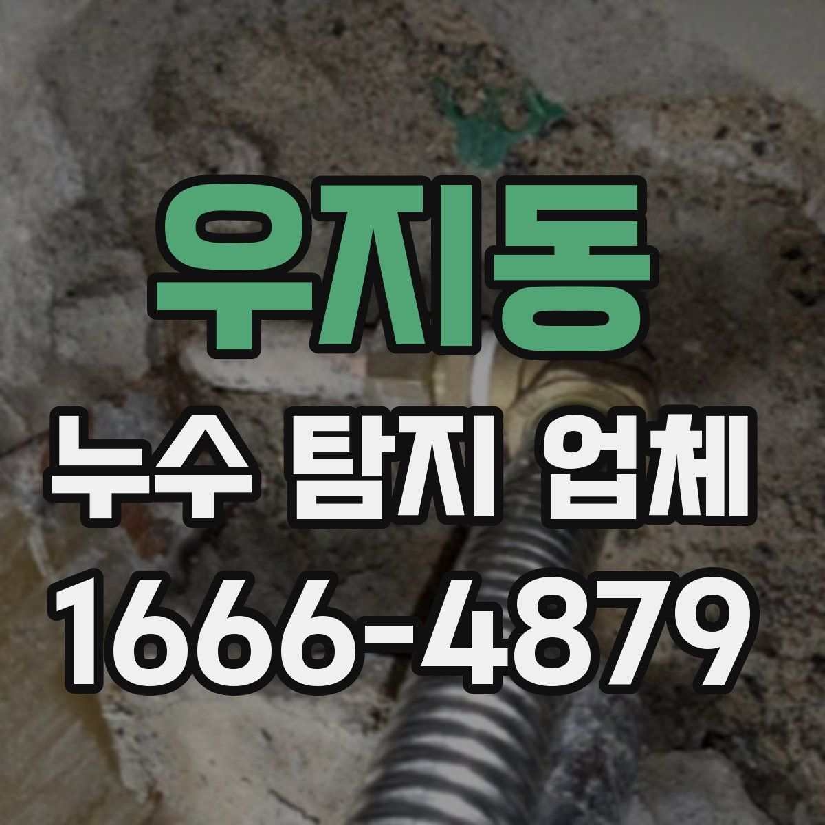 우지동 누수 탐지 업체