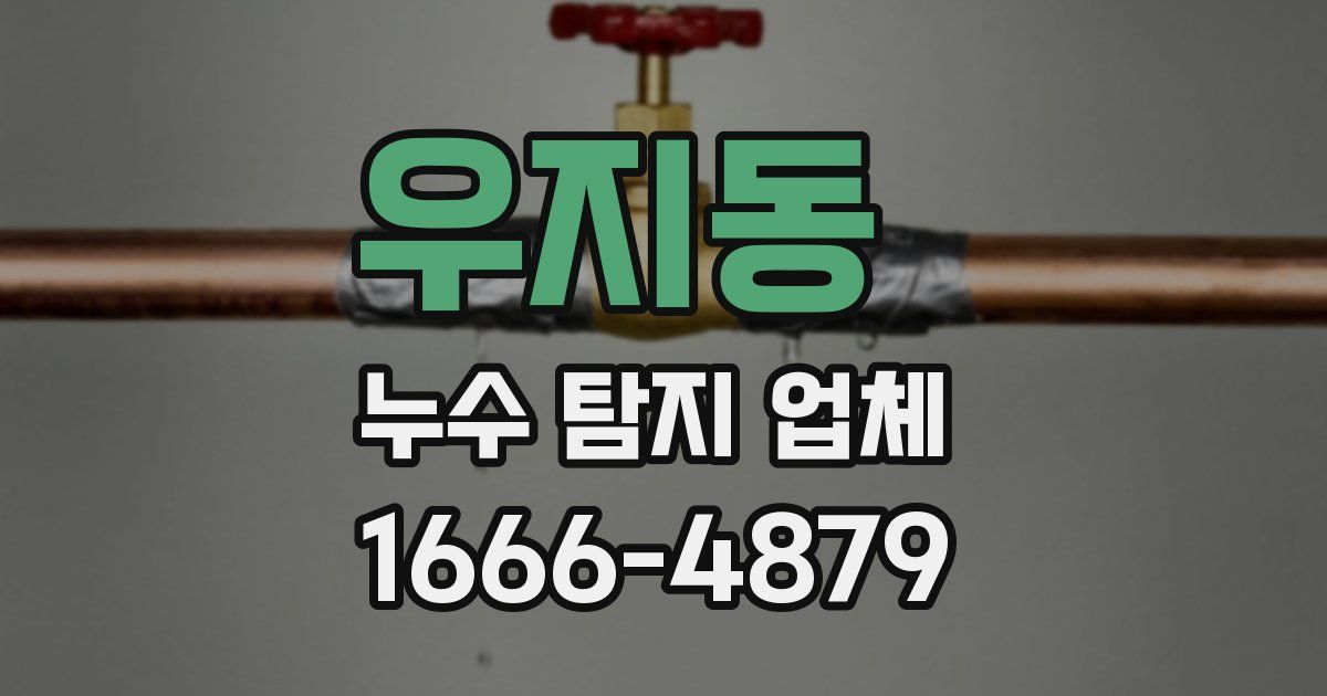 우지동 누수 탐지 업체
