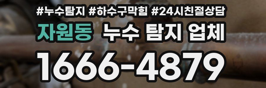 자원동 누수 탐지 업체